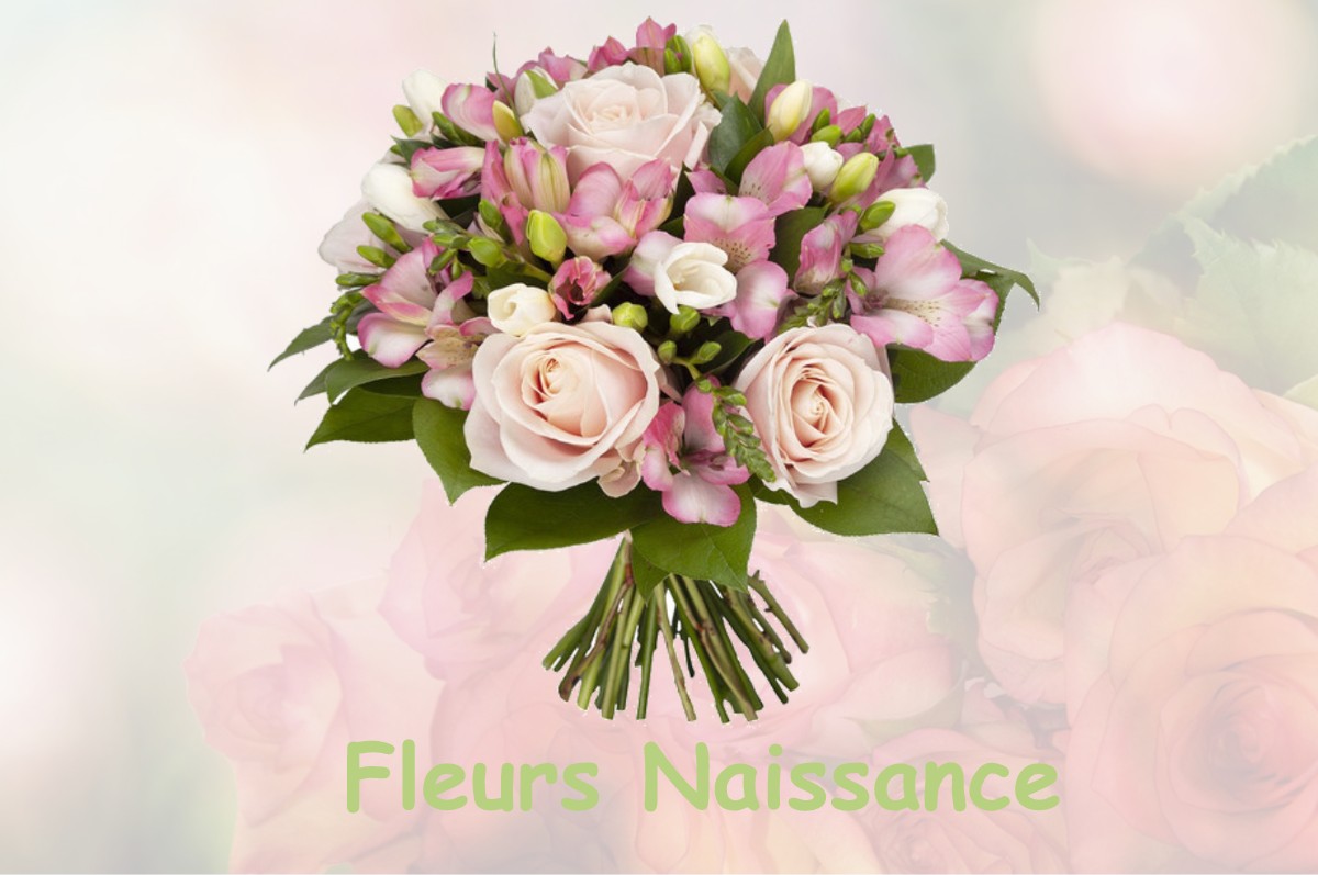 fleurs naissance TRAINOU