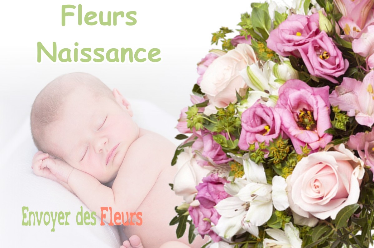 lIVRAISON FLEURS NAISSANCE à TRAINOU